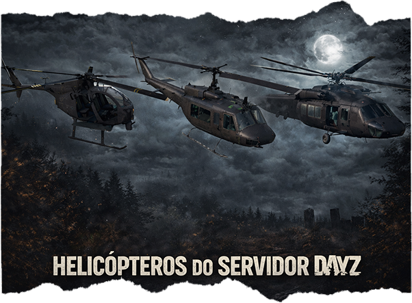 VIP Helicóptero